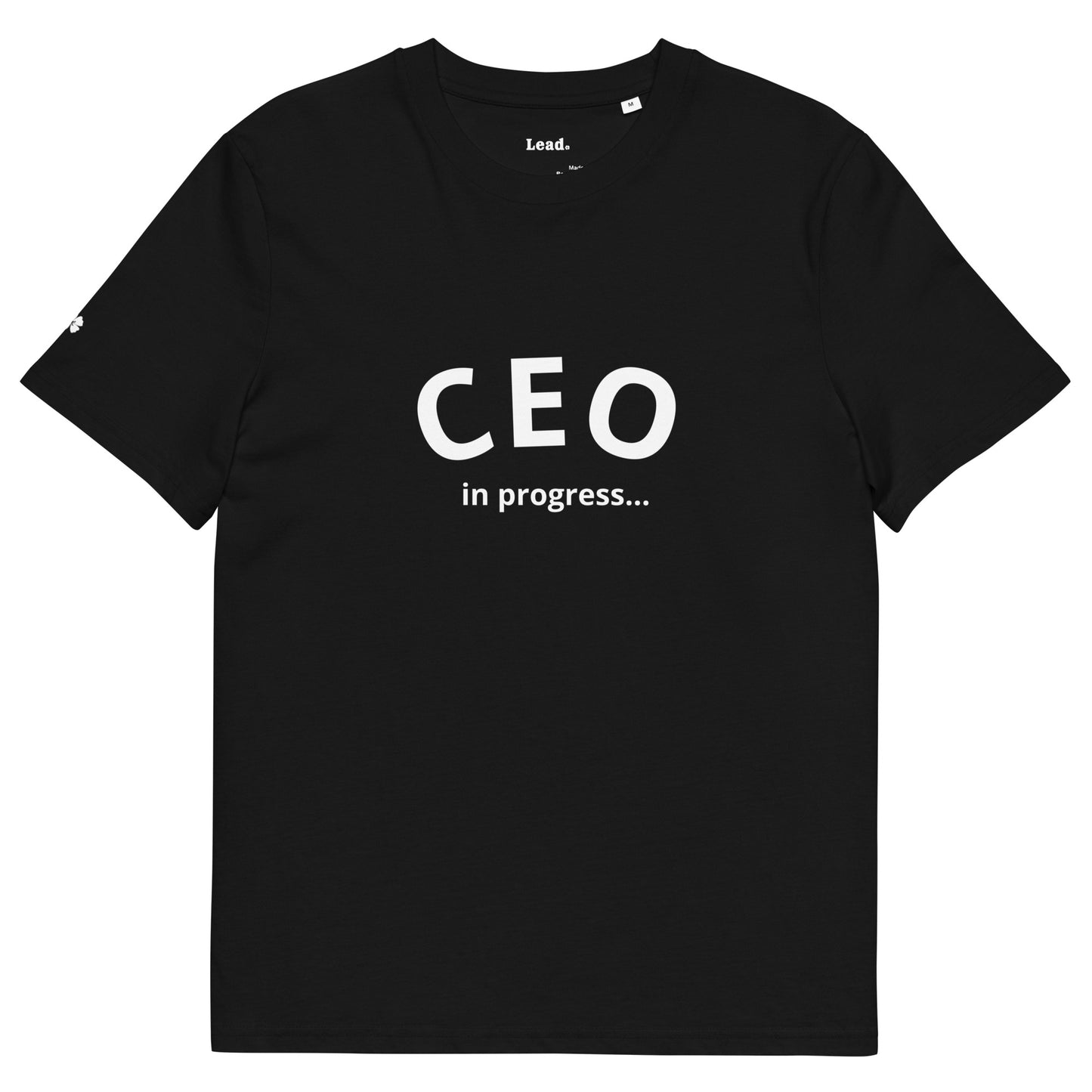 CEO in progress...
