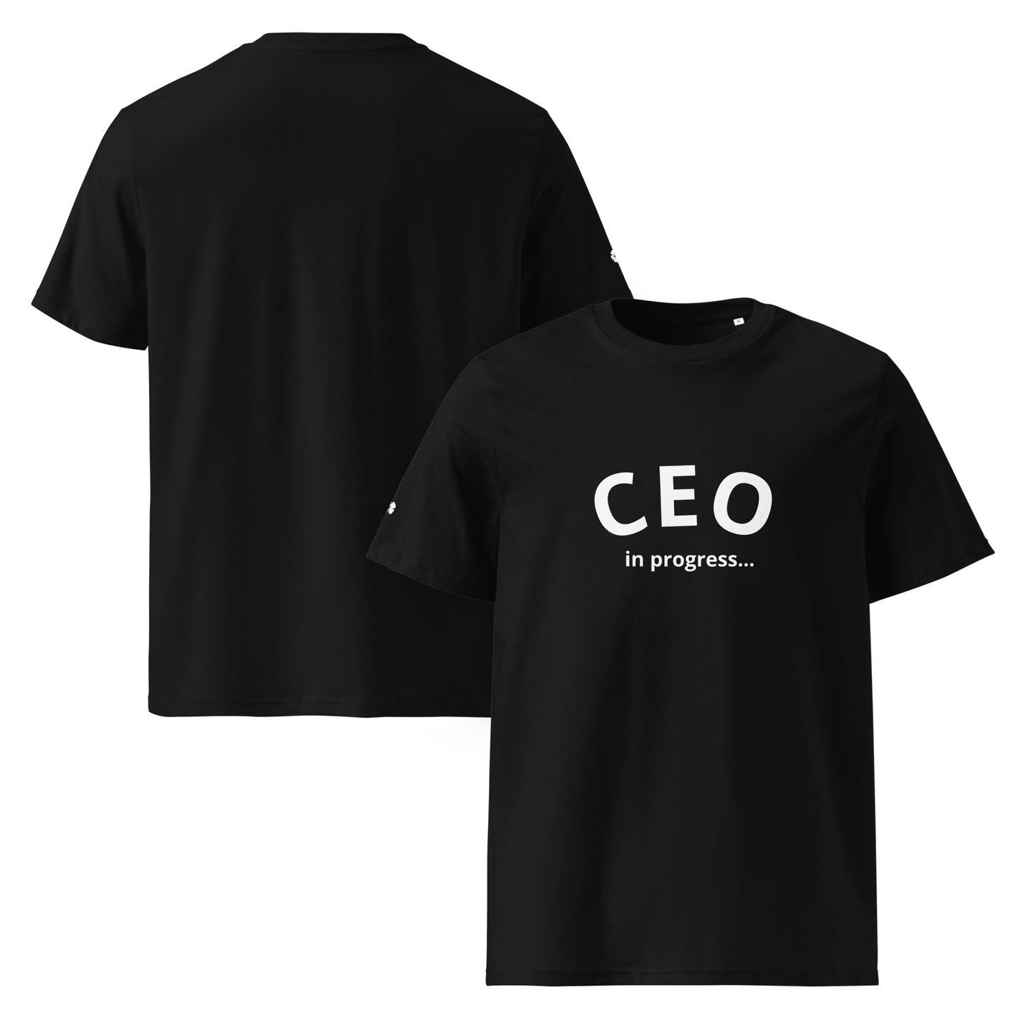 CEO in progress...